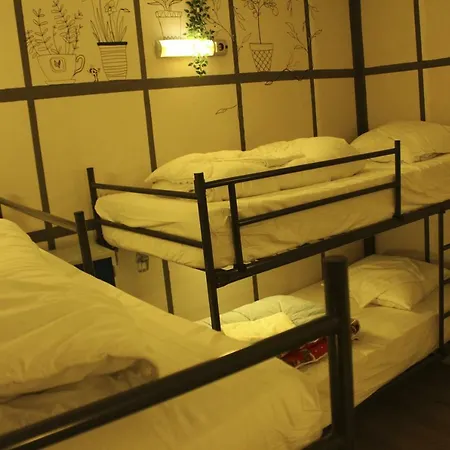 Hostel The Golden Stork The Hague