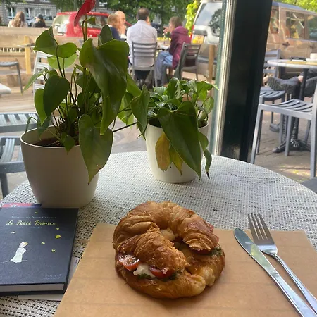 The Golden Stork Hostel