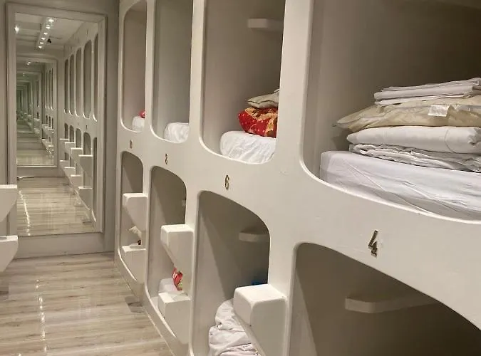 Hostel The Golden Stork The Hague