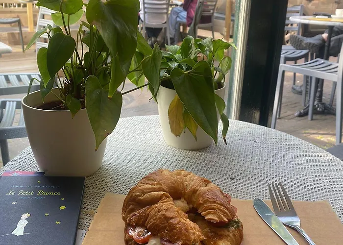 The Golden Stork Hostel